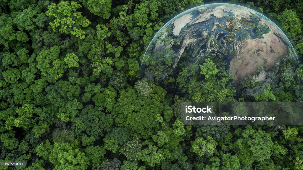 Challenging the mobility industry to enable a cleaner, greener world.